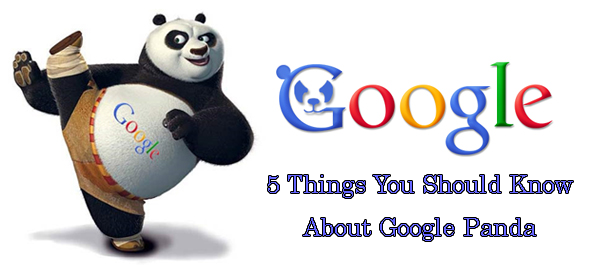 Google panda recovery services
