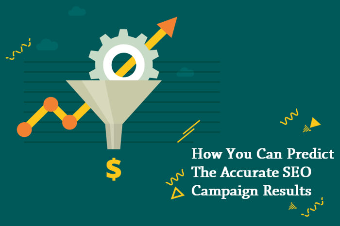 How You Can Predict The Accurate SEO Campaign Results