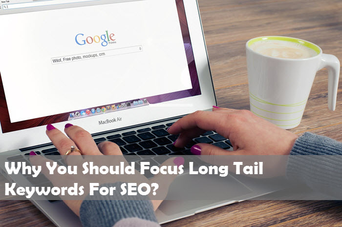 Why You Should Focus Long Tail Keywords For SEO