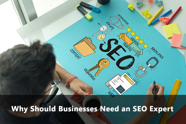 Why Should Businesses Need an SEO Expert